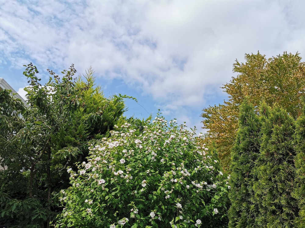 vancouver west cozy retreat by host launch