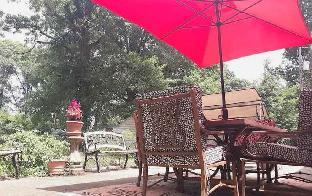 a house full of steel balls and games