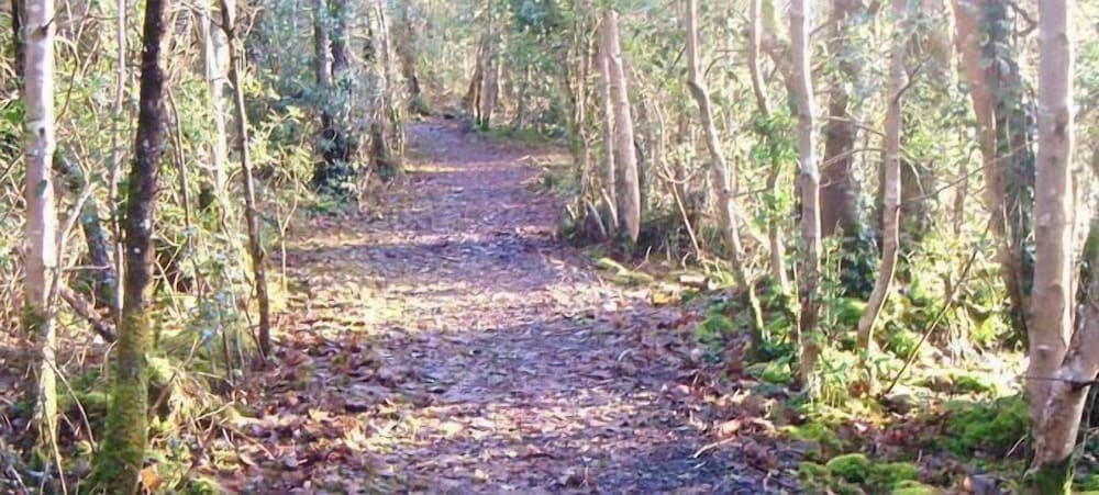 platinum lakeside lodge at mullans bay