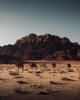 wadi rum