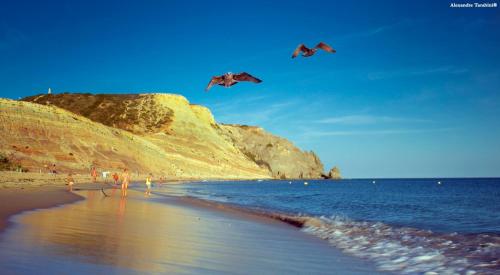 c14 casa da luz by dreamalgarve