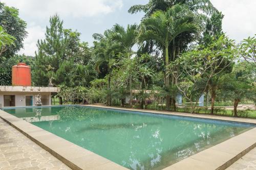 reddoorz plus lodaya gunung geulis puncak
