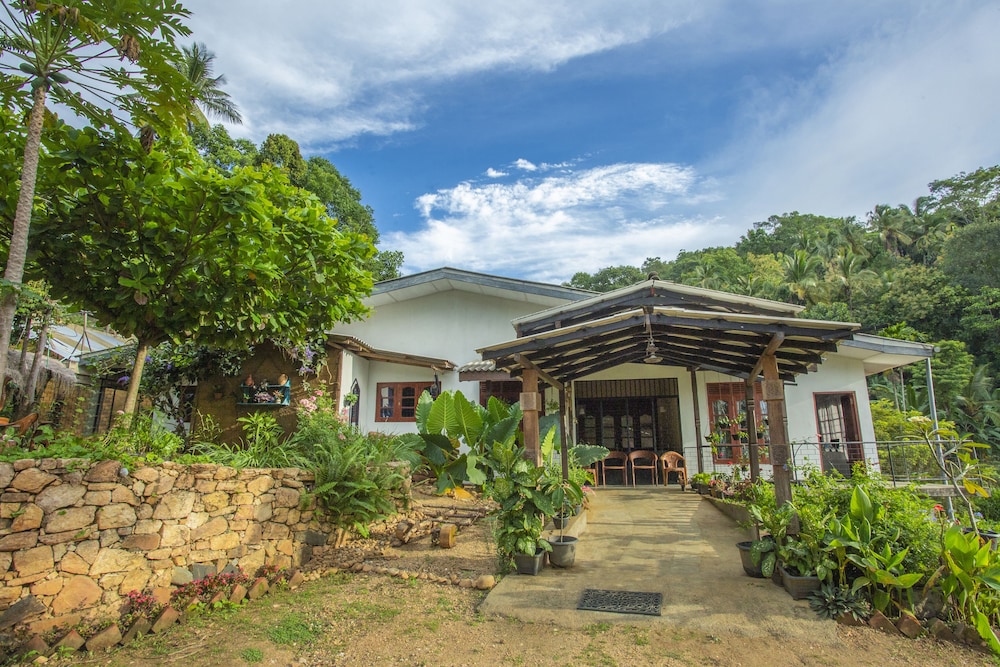 the hilltop eco homestay