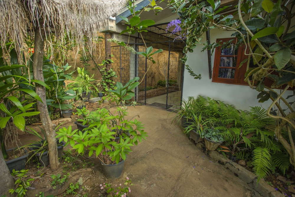 the hilltop eco homestay