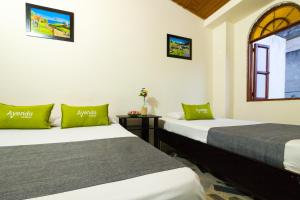 ayenda 1411 caney sede ingenio