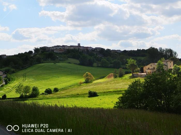 castelnau de montmiral