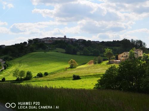 castelnau de montmiral