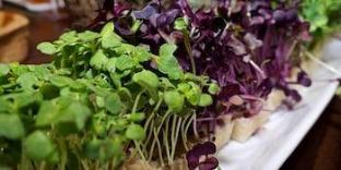 the charles f knight center