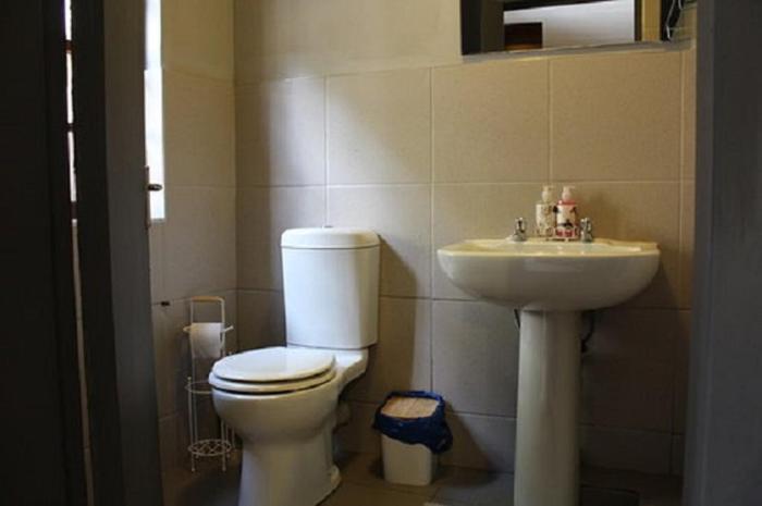 guesthouse 31 murray