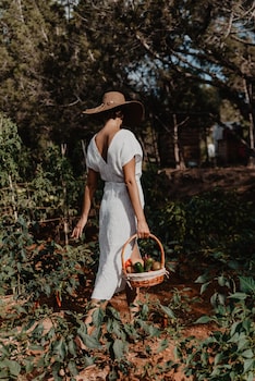 sant antoni de portmany