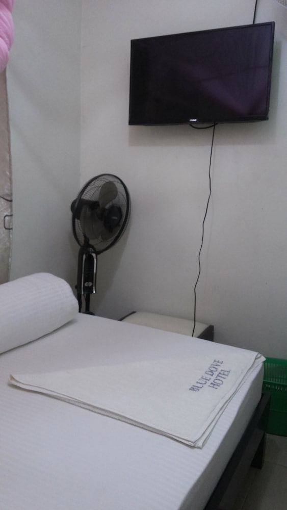 blue dove hotel arua