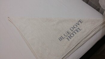 blue dove hotel arua