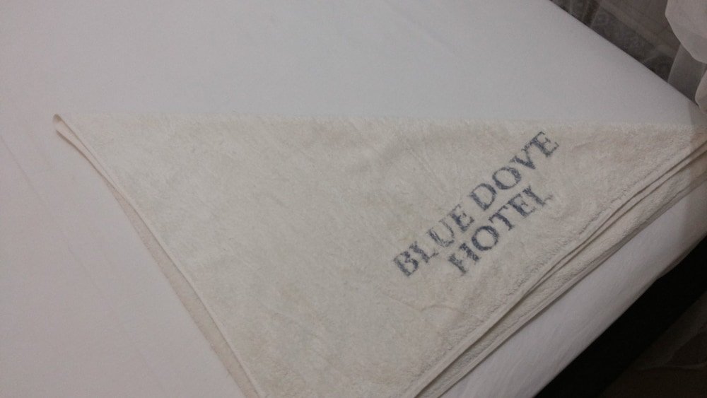 blue dove hotel arua