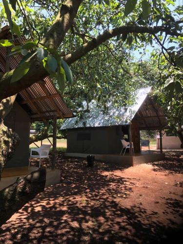 tsanana log cabins and mullberry lane suites