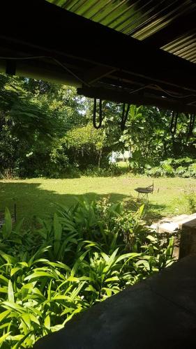 tsanana log cabins and mullberry lane suites