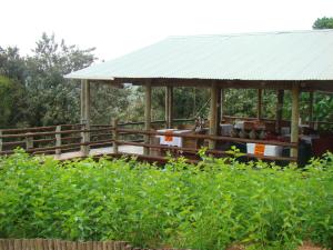 tsanana log cabins and mullberry lane suites