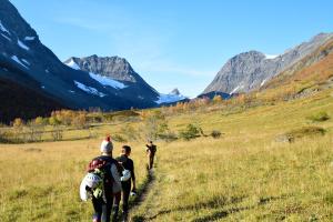 lyngen