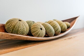 waiheke waterfront lodge