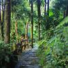 sapa jungle homestay