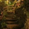 sapa jungle homestay