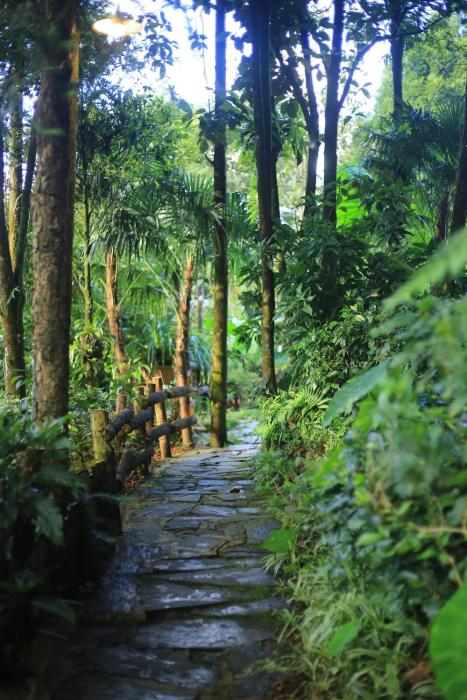 sapa jungle homestay
