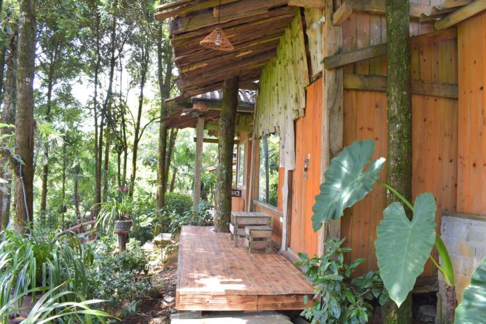 sapa jungle homestay