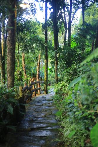sapa jungle homestay