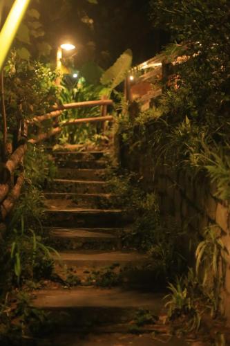 sapa jungle homestay