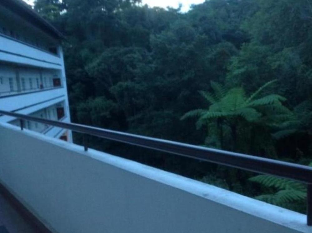 misty apartments iris house resort