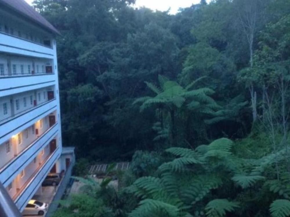 misty apartments iris house resort