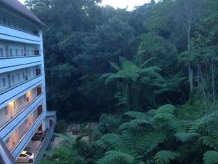 misty apartments iris house resort