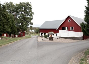 lekvad