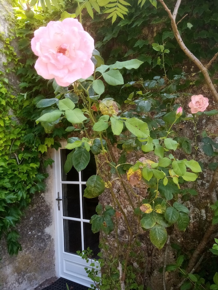 le domaine du bouchon