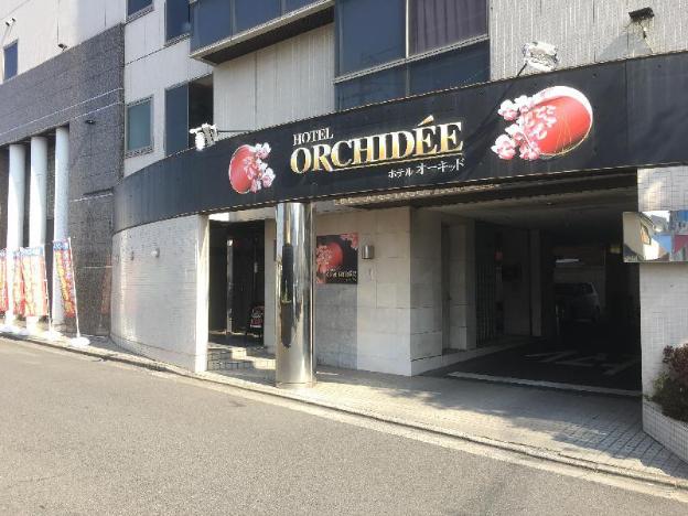 hotel orchidee adult only