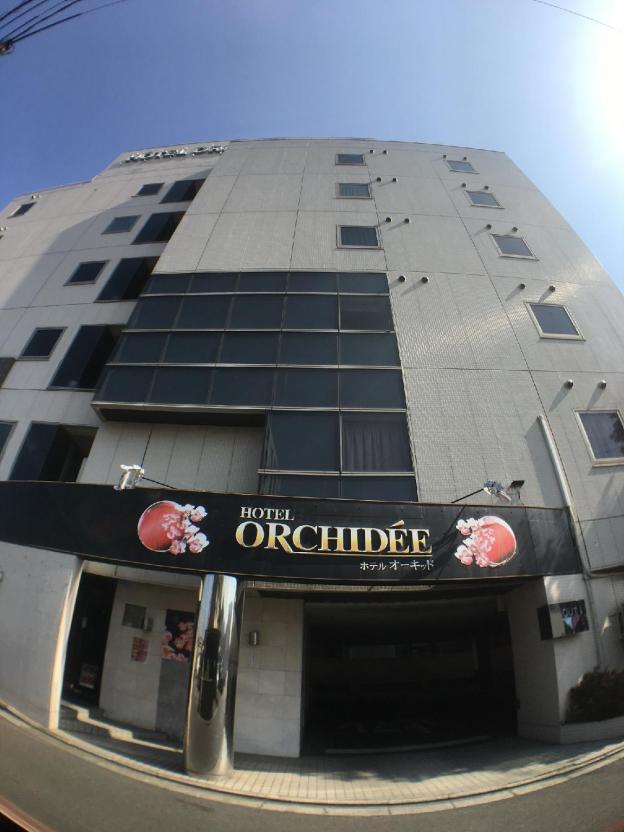 hotel orchidee adult only