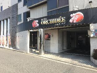 hotel orchidee adult only