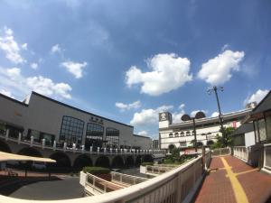 hotel orchidee adult only