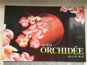 hotel orchidee adult only