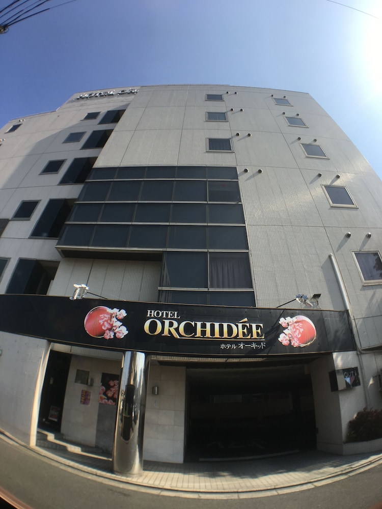 hotel orchidee adult only