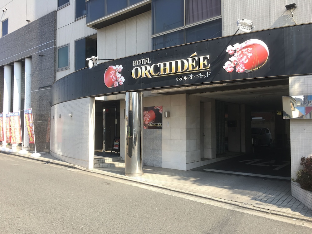 hotel orchidee adult only