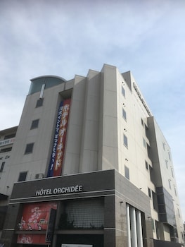 hotel orchidee adult only