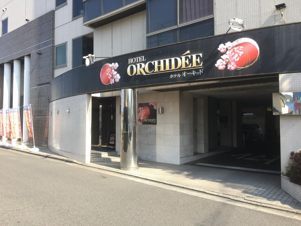 hotel orchidee adult only