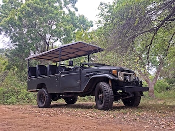 ceylon wild safaris yala