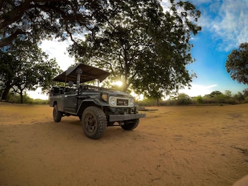 ceylon wild safaris yala