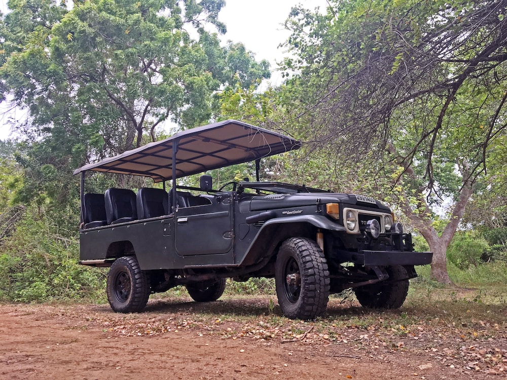 ceylon wild safaris yala