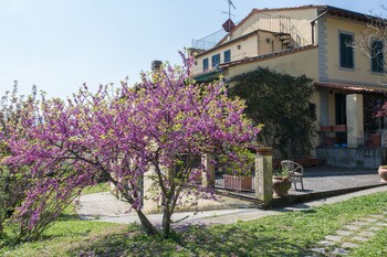 fiesole