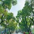 guilin