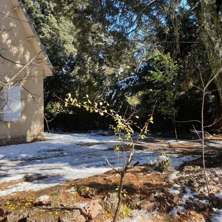 ifrane