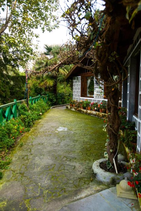 nainital