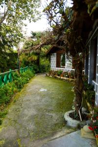 nainital
